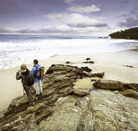 Wilderness Coast Walk - Tourism Canberra