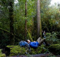 The Tarkine Drive - Tourism Canberra