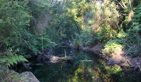 Nadgee Nature Reserve - Tourism Canberra 2