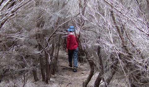 Nadgee Nature Reserve - Tourism Canberra 3