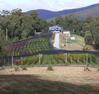 Motton Terraces
