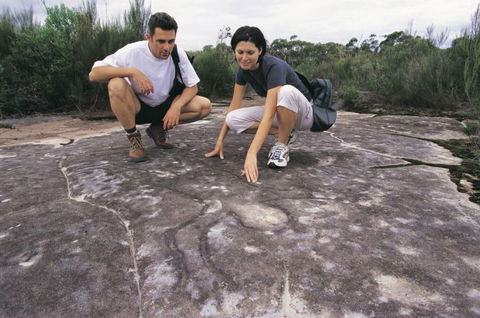Sydney Coast Walks - Tourism Canberra 4