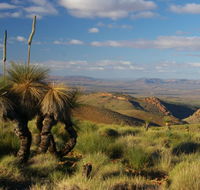 4WD Aussie Outback Adventures - Tourism Canberra