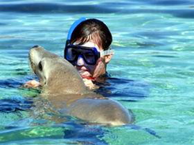 Gawler Ranges Wilderness Safaris - Tourism Canberra 2