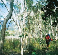 Thorsborne Trail Hinchinbrook Island National Park - Tourism Canberra