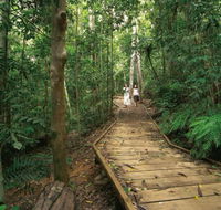Lake Barrine Circuit Track Crater Lakes National Park - Tourism Canberra