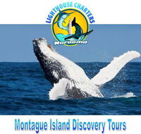 Lighthouse Charters Narooma - Tourism Canberra