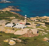 Naturewise Montague Island Nature Escape - Tourism Canberra