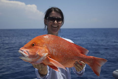 Absolute Ocean Charters - Tourism Canberra 0