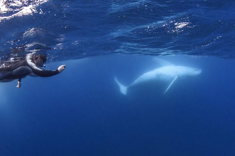 Sunreef Mooloolaba - Tourism Canberra 1