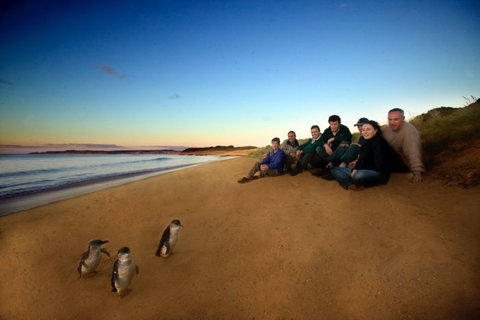 Melbourne Coastal Touring - Tourism Canberra 3