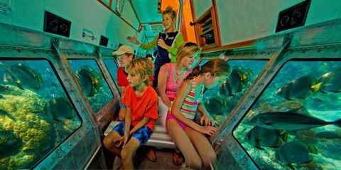 Big Cat Green Island Reef Cruises - Tourism Canberra 14