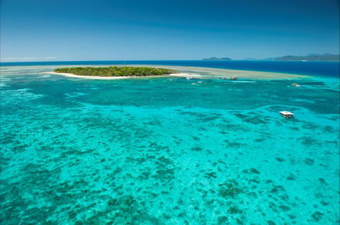 Big Cat Green Island Reef Cruises - Tourism Canberra 17