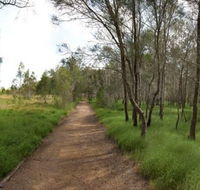 Billai dhagun Circuit Place of She-Oaks - Tourism Canberra