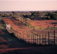 Tri State Safaris - Tourism Canberra