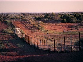 Tri State Safaris - Tourism Canberra 1