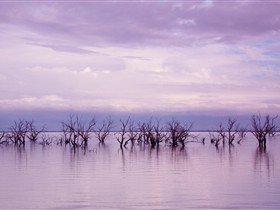 Tri State Safaris - Tourism Canberra 9