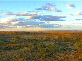 Tri State Safaris - Tourism Canberra 13