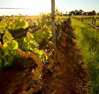 Kaesler Old Vine Vineyard Tour - Tourism Canberra