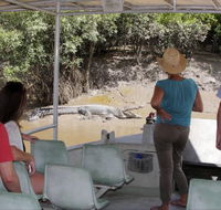 Whitsunday Crocodile Safari - Tourism Canberra