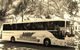 Mackay Transit Coaches - thumb 0