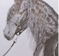 Great Lakes Art Society - Tourism Canberra