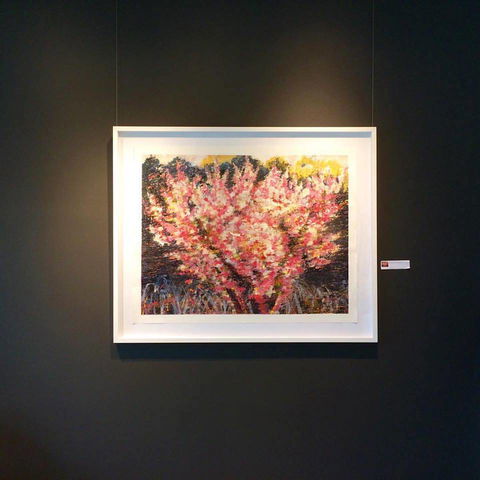 Gallery One - Tourism Canberra 1