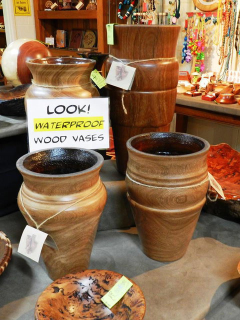 Montville Woods Gallery - Tourism Canberra 1