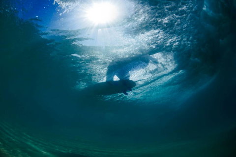 Ocean Art Gallery & Cafe - Tourism Canberra 4