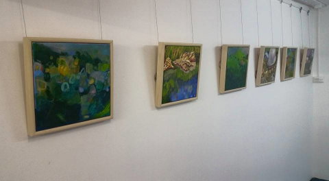 Art Arena Gallery Inc - Tourism Canberra 2