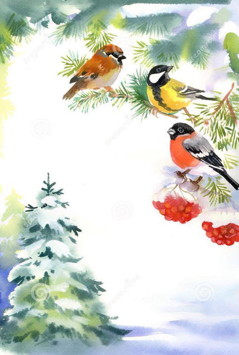 Two Birds Gallery - Tourism Canberra 2