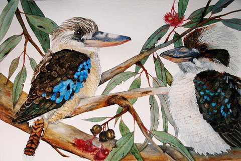 Two Birds Gallery - Tourism Canberra 3