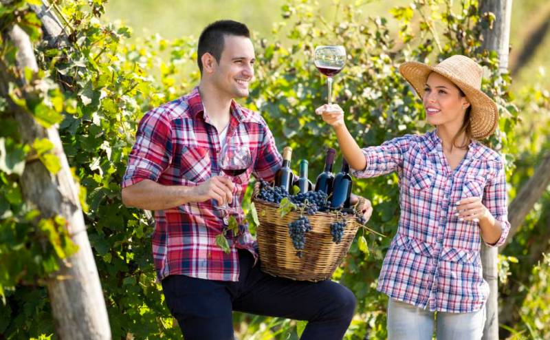Central Bucca NSW Tourism Canberra