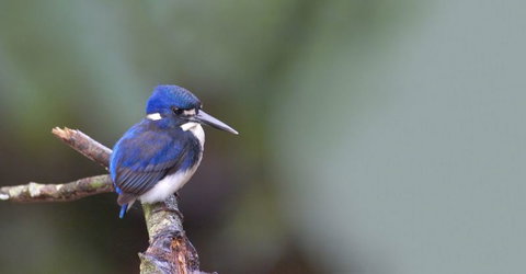 Trek North - Tourism Canberra 3