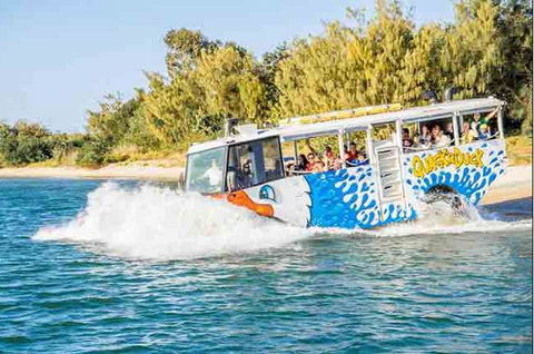 Quackr Duck - Tourism Canberra 1