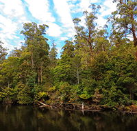 A R Reflections River Cruises - Tourism Canberra