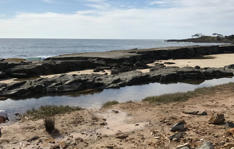 Yamba Tours And Charters - Tourism Canberra 0