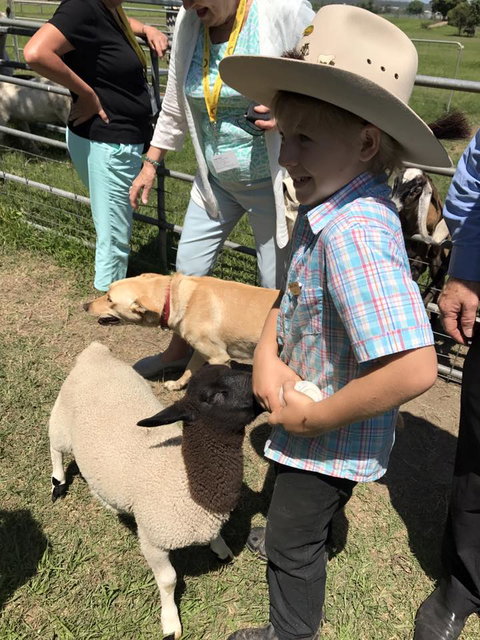 Yamba Tours And Charters - Tourism Canberra 2