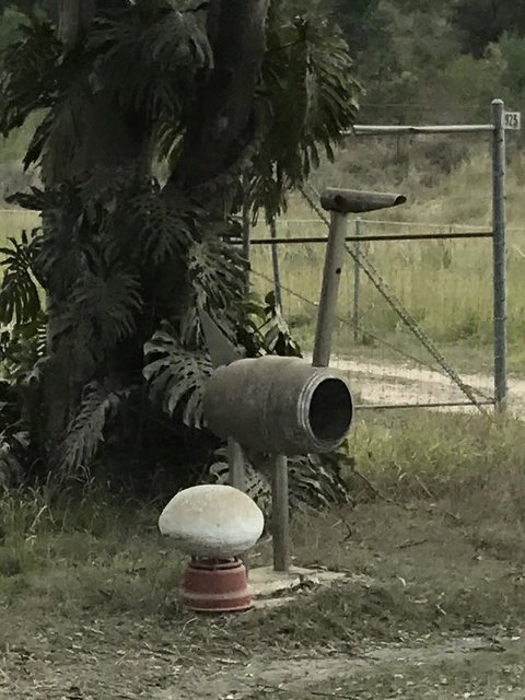 Yamba Tours And Charters - Tourism Canberra 7