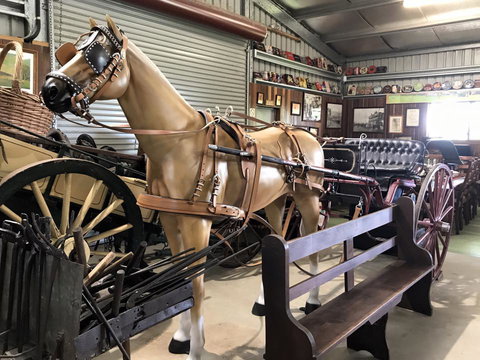Yamba Tours And Charters - Tourism Canberra 9