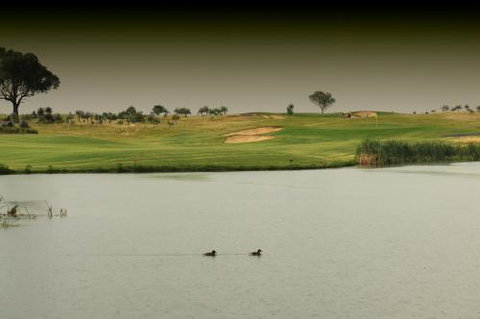 Thorny’s Putt-Putt - Tourism Canberra 1