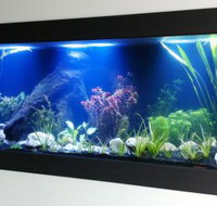 Aquariums in Cairns - Tourism Canberra
