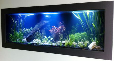 Aquariums In Cairns - Tourism Canberra 0