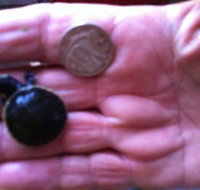 Hurleys Aquariums - Tourism Canberra