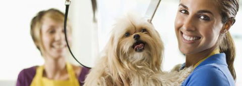 Port Stephens Pet Barn - Tourism Canberra 1