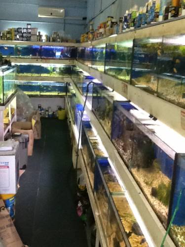Clearwater Aquariums - Tourism Canberra 0