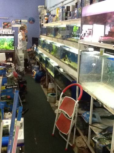 Clearwater Aquariums - Tourism Canberra 1