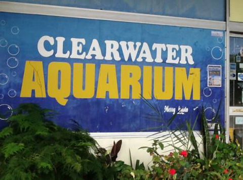 Clearwater Aquariums - Tourism Canberra 2