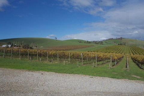 Wine Compass - Tourism Canberra 1