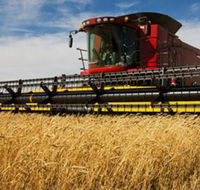 Quirindi Grain and produce - Tourism Canberra